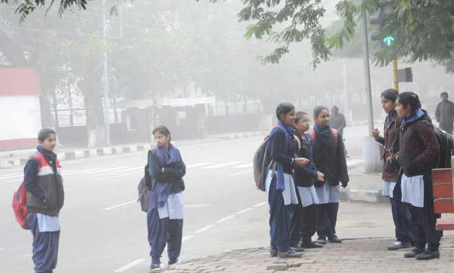 Haryana government extends winter vacations in schools till Jan 21 due to cold wave