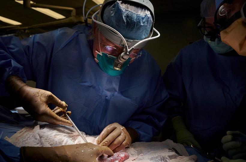 Doctors steal both kidneys of patient during operation in Bihar’s Muzaffarpur; victim’s husband leaves her
