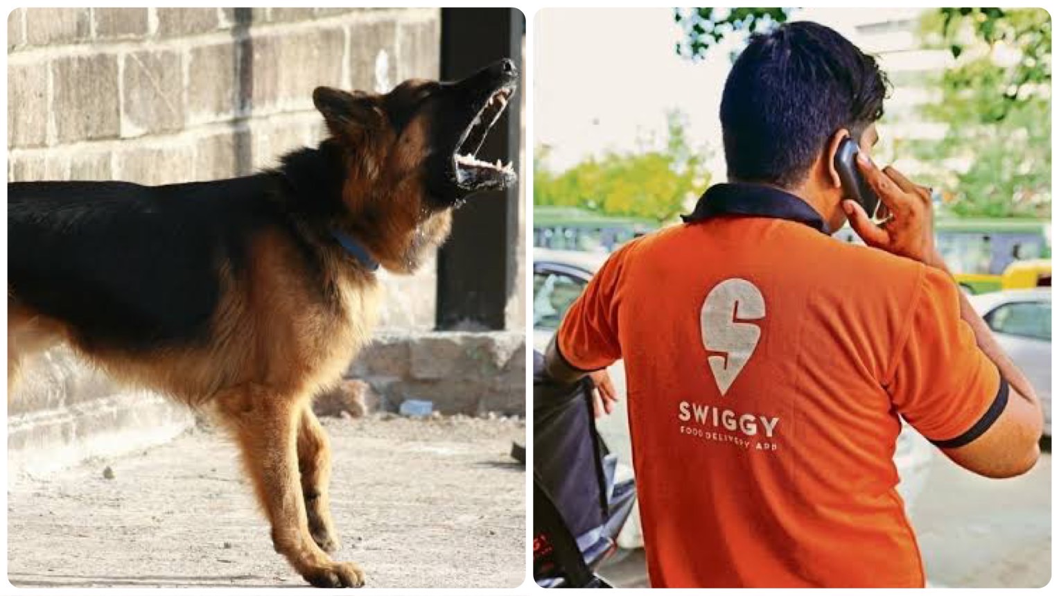 Hyderabad: Swiggy Delivery Boy falls off 3rd floor to avoid dog attack, dies in hospital