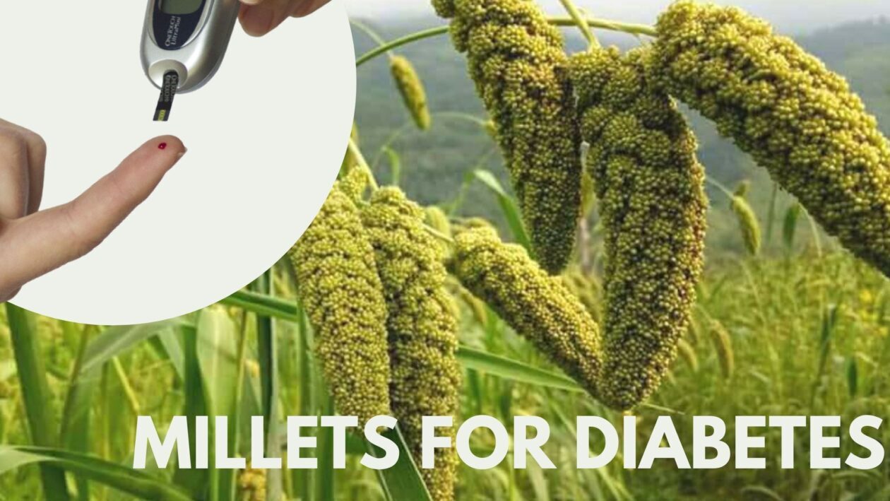 Millets reduce the risk of diabetes