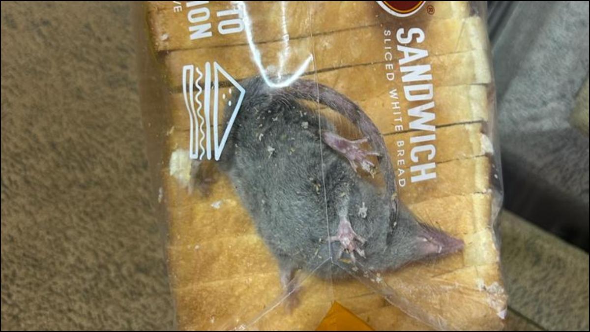 Action against seller after man finds alive rat inside bread packet ordered from Blinkit