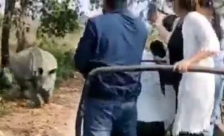 West Bengal: 7 Tourists injured after two Rhinos attack their vehicle at Jaldapara National Park | Watch video