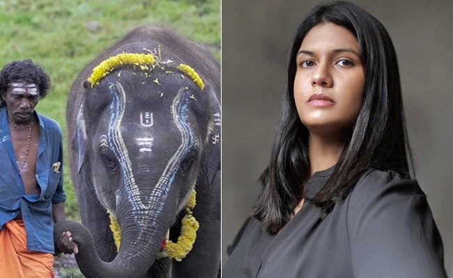 Oscar Awards 2023: Historic! Indian film The Elephant Whisperers wins first Oscar for the best documentary short subject