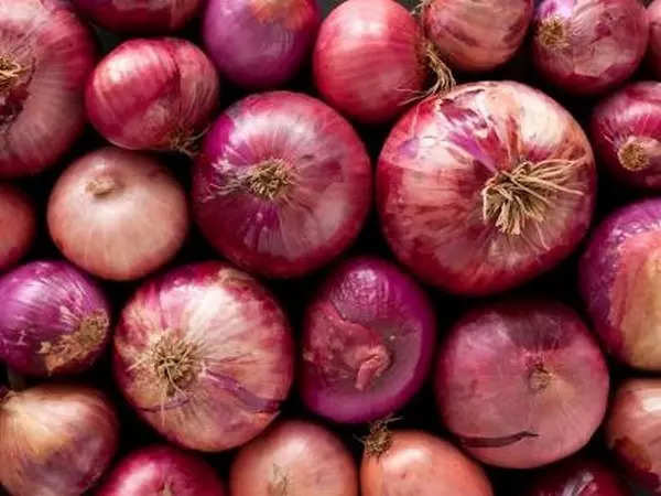 Onion Scarcity: Government Puts Export on Hold Following 3 Year Peak