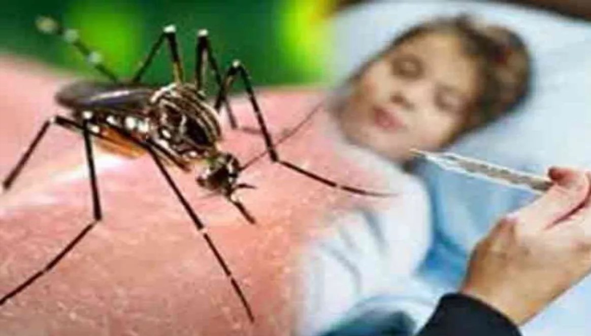 Lucknow Registers 36 New Dengue Cases