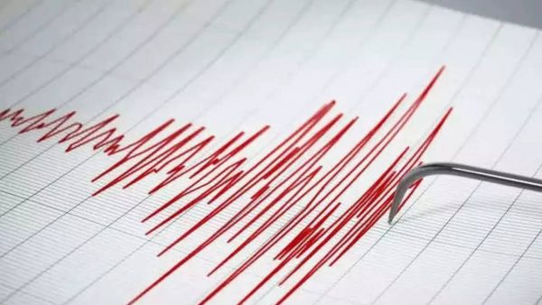 Earthquake of 4.6 magnitude jolts Afghanistan, no injuries reported