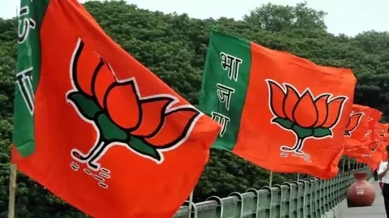 BJP Receives Over ₹250 Crore from Electoral Trusts in 2022-23: ADR Report