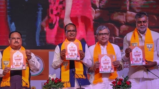 BJP Unveils Manifesto for MP Polls: Free Education for Girls, Affordable Gas Cylinders, and Farmer Support
