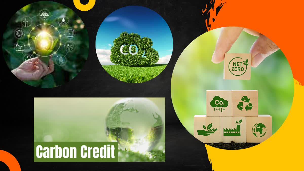 What is carbon credit and how is it done?,Companies Profit in Crores by Cleaning the Air