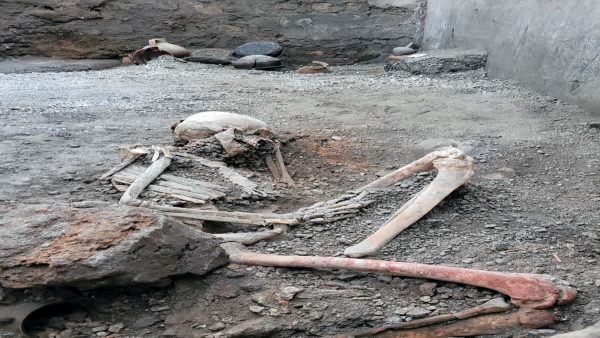Karnataka: Skeletal remains of 5 of family found in dilapidated house in Chitradurga