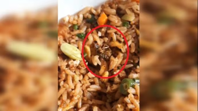 Bengaluru resident shocked after finding dead cockroach in Zomato-ordered food; Company respond