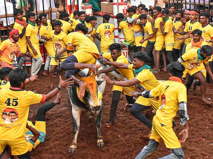 2 killed by bulls during Jallikattu event in Sivaganga district of Tamil Nadu