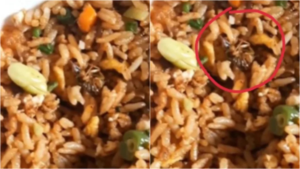 Bengaluru lawyer finds Cockroach in meal at prestigious star hotel, alleges assault by staff; FIR filed