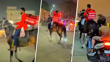 Zomato Delivery Agent Navigates Petrol Shortage in Hyderabad, Gallops on Horseback to Fulfill Orders Amid Truckers’ Protest