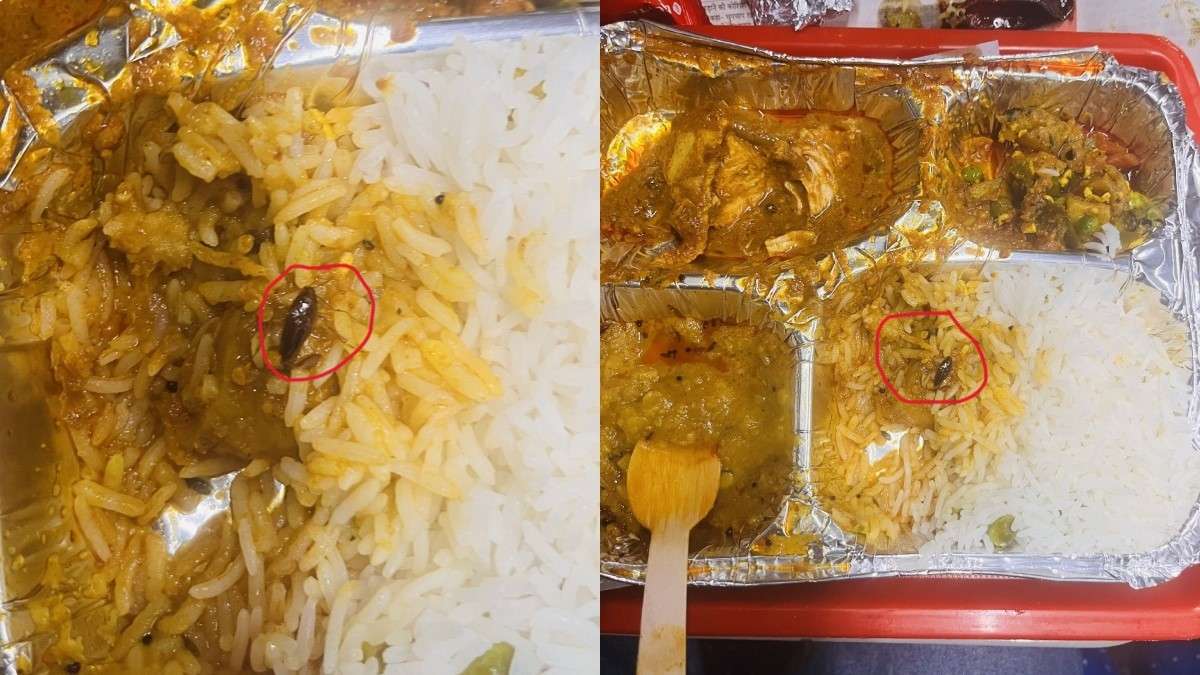 Passenger discover dead cockroach in food served at Rewa Vande Bharat express. IRCTC responds