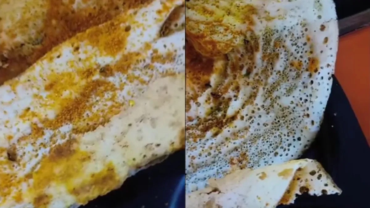 Bizarre: Delhi woman discovers 8 cockroaches in dosa served at popular Madras Coffee House | Watch