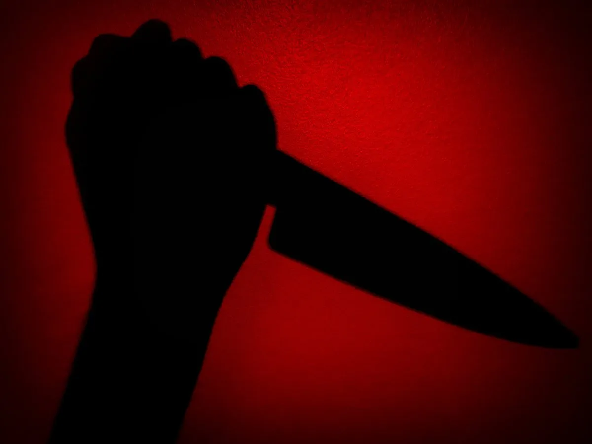 Cook Arrested for Knife Attack on Girl in Mukherjee Nagar, Delhi, After Alleged Taunting