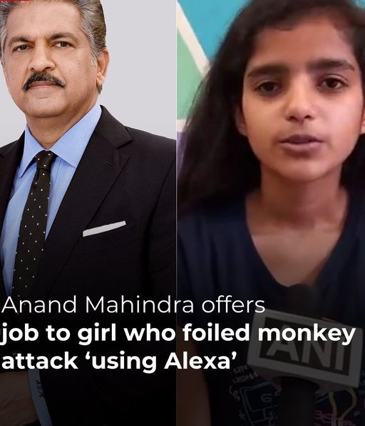 Anand Mahindra Offers Job to Teen Who Used Alexa to Foil Monkey Attack