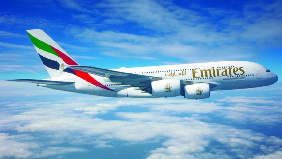 36 Flamingos die after being hit by Emirates flight in Mumbai, aircraft suffers damage