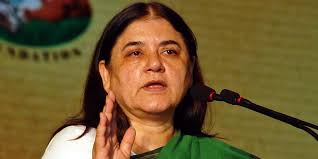 Maneka Gandhi: Development, Not Ram Temple, Key Issue for Sultanpur Voters