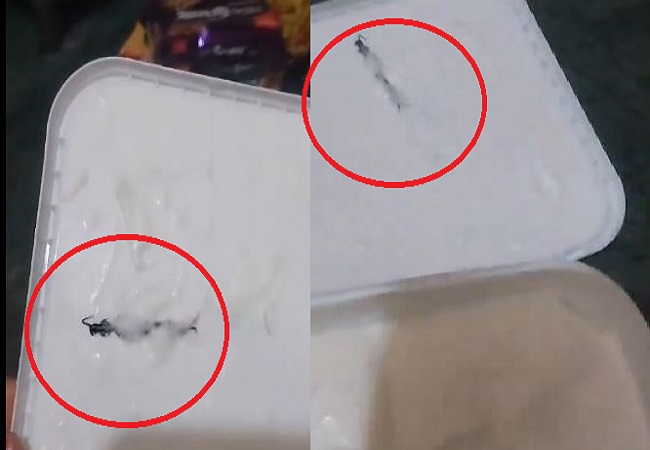 Noida woman claims that she found centipede inside Amul ice cream ordered online